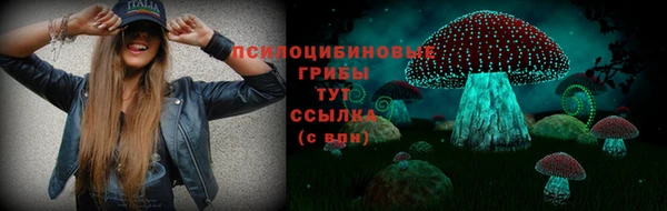 спайс Алексин