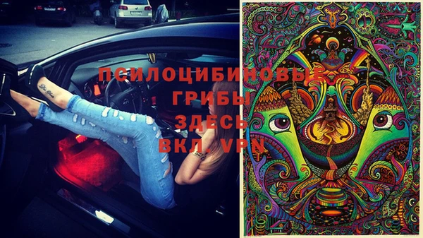 ешки Абаза